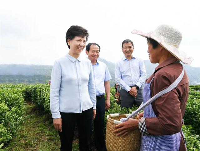 全国唯一一位女书记！谌贻琴任贵州省委书记