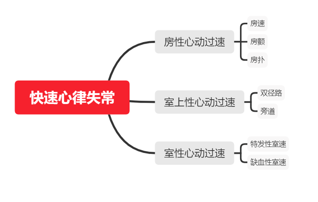 五分钟了解快速心律失常——房速