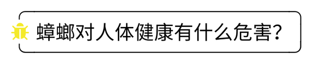 蟑螂总是来了又来！送你一份除蟑螂手册，总有一招奏效