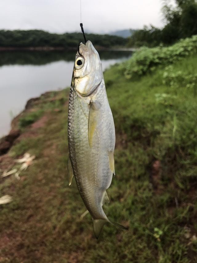 三岔湖水边戏小翘，不料车胎又中枪...