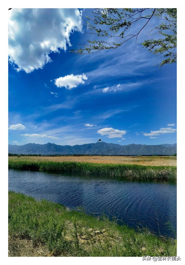 美哉，野鸭湖