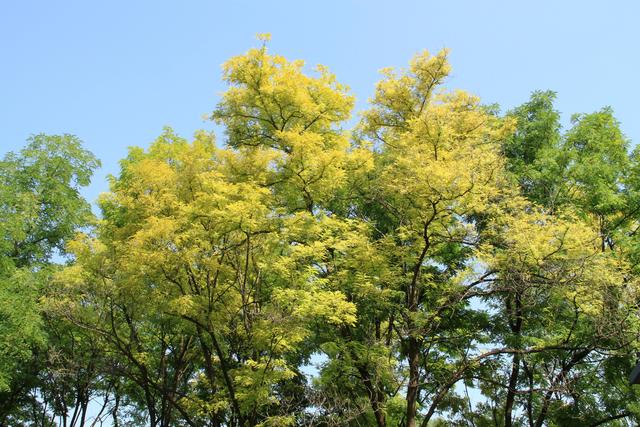 京城足迹，海淀公园