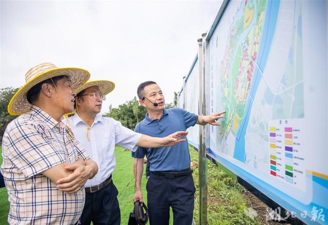 赤壁之战与军山新城还真有关！知名专家来车谷专题调研“大军山与三国文化”