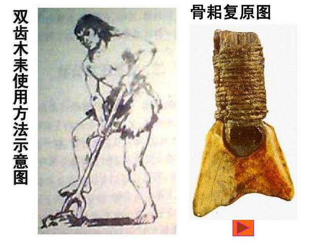 新石器时代和旧石器时代有什么区别？石器的变化见证社会的巨变