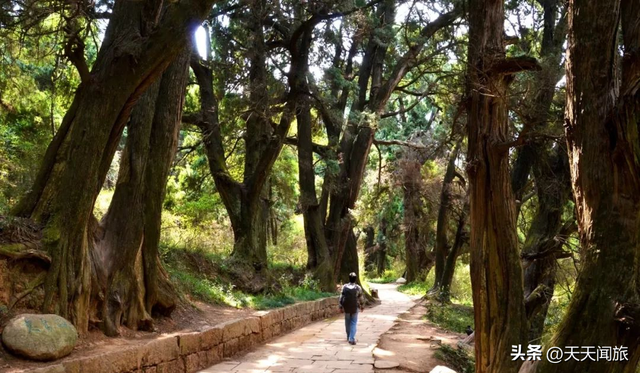 剑门蜀道：千古一道，古代中国的川陕公路