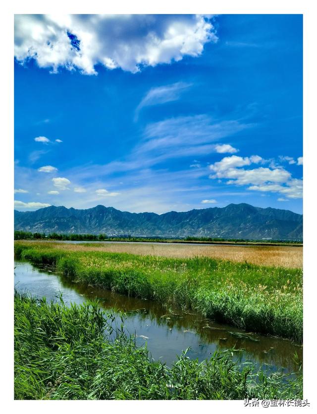 美哉，野鸭湖